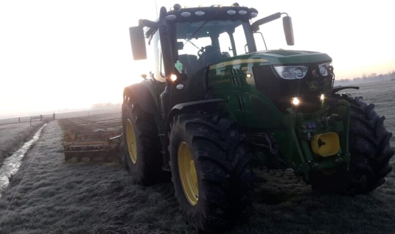 52650492_2237944919763554_6834843601453711360_n